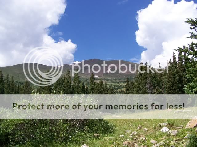 scenery.jpg