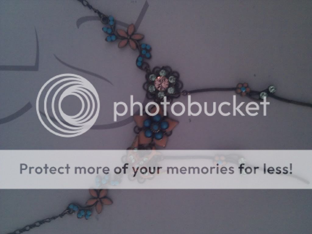 http://i339.photobucket.com/albums/n444/princessplonk/IMG_20110322_163331.jpg