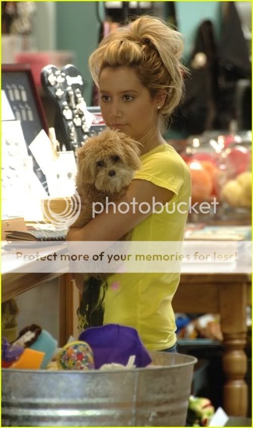 ashley-tisdale-puppy1.jpg ashley and dog image by jonasbrothersfanluver200 ashley-tisdale-puppy1.jpg ashley and dog image by jonasbrothersfanluver200