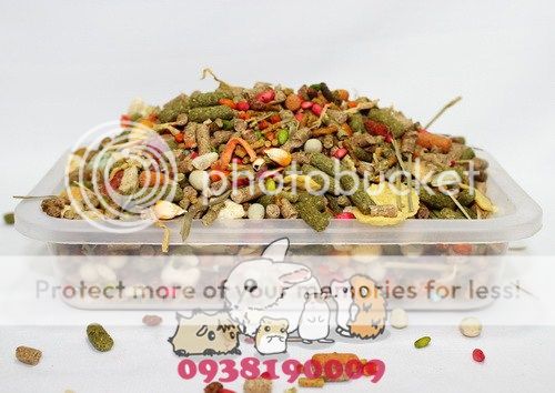 BEYEU-PETVN Chuyên cung cấp thú nhỏ:HAMSTER,GUINEA PIG, RABBIT, HEDGEHOG và vật dụng - 6