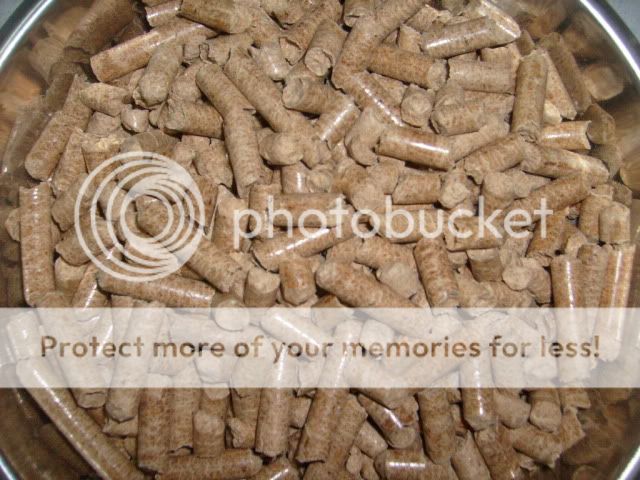 Chuột Hamster, nhím Hedgehogs, chuột nhảy Gerbil, chó Taken Pug...