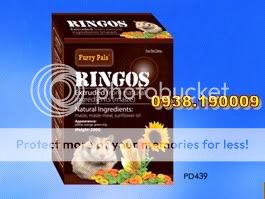 BEYEU-PETVN Chuyên cung cấp thú nhỏ:HAMSTER,GUINEA PIG, RABBIT, HEDGEHOG và vật dụng - 28