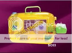 BEYEU-PETVN Chuyên cung cấp thú nhỏ:HAMSTER,GUINEA PIG, RABBIT, HEDGEHOG và vật dụng - 7