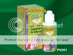 BEYEU-PETVN Chuyên cung cấp thú nhỏ:HAMSTER,GUINEA PIG, RABBIT, HEDGEHOG và vật dụng - 26