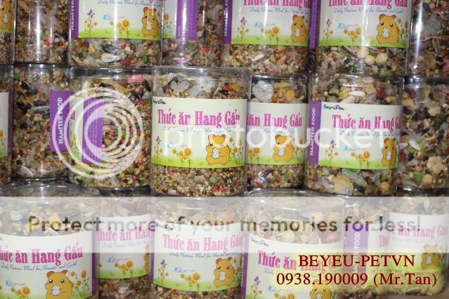 BEYEU-PETVN Chuyên cung cấp thú nhỏ:HAMSTER,GUINEA PIG, RABBIT, HEDGEHOG và vật dụng