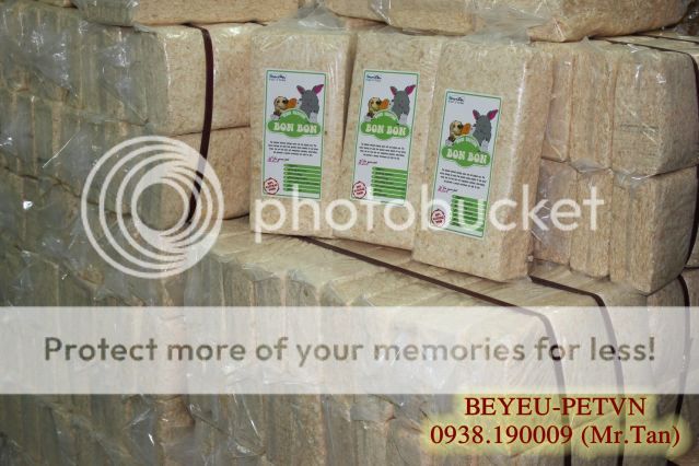 BEYEU-PETVN Chuyên cung cấp thú nhỏ:HAMSTER,GUINEA PIG, RABBIT, HEDGEHOG và vật dụng - 1