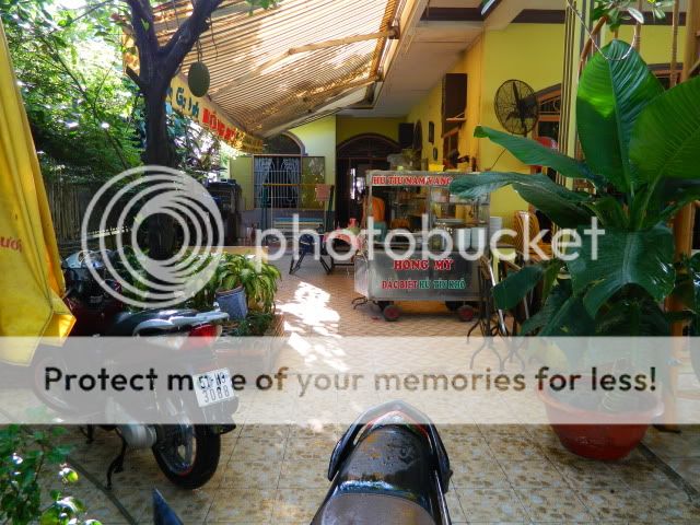 BEYEU-PETVN Chuyên cung cấp thú nhỏ:HAMSTER,GUINEA PIG, RABBIT, HEDGEHOG và vật dụng - 2