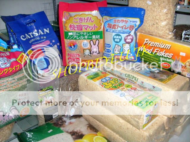 BEYEU-PETVN Chuyên cung cấp thú nhỏ:HAMSTER,GUINEA PIG, RABBIT, HEDGEHOG và vật dụng - 4