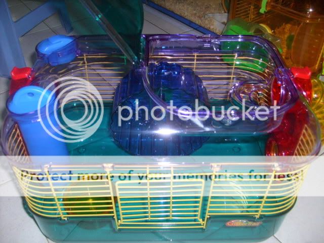 BEYEU-PETVN Chuyên cung cấp thú nhỏ:HAMSTER,GUINEA PIG, RABBIT, HEDGEHOG và vật dụng - 12