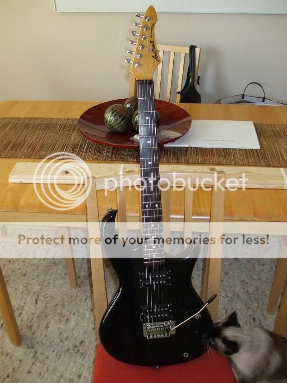 NGM It's Raining guitars on Craigslist Electric Guitars Harmony