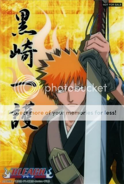 BleachIchigo