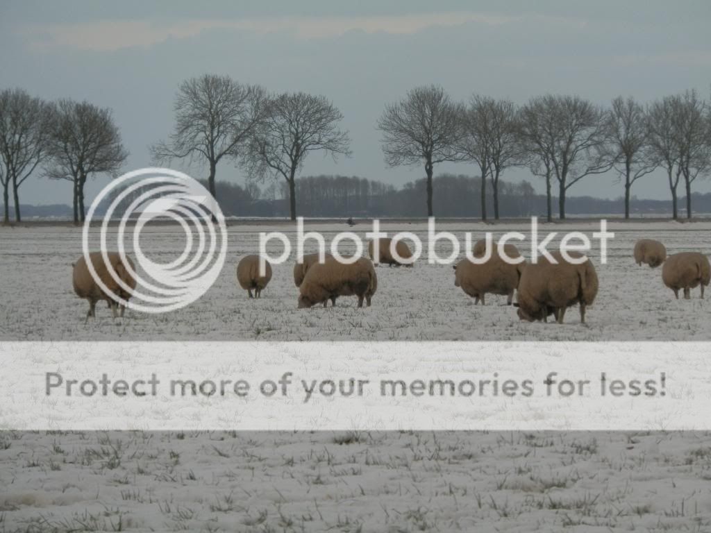 Fotografie