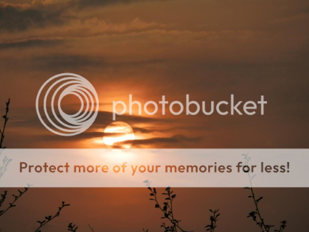 Fotografie