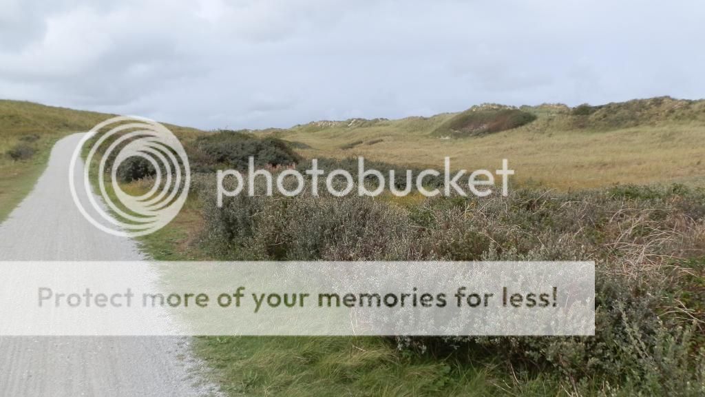 Fotografie