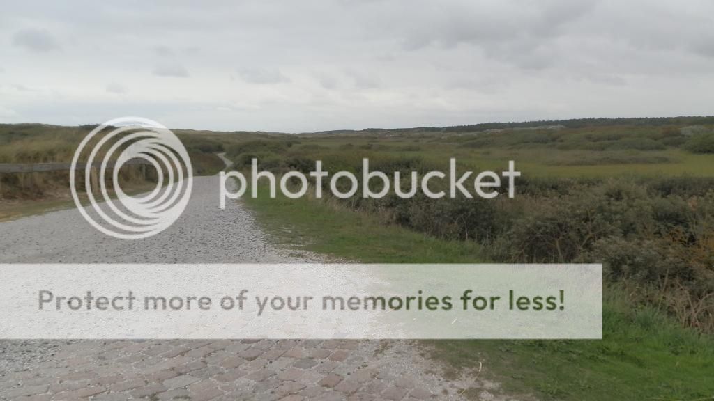 Fotografie