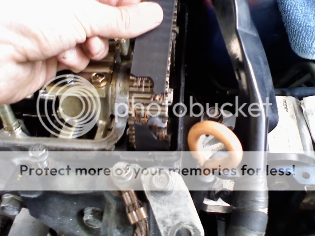 h22 timing belt. well while doing the timing Tampa Racing